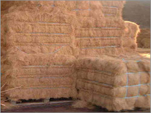 Coconut Fiber