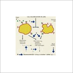 Respiratory System Pharma Pellets
