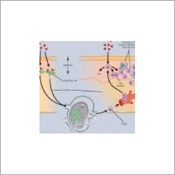 Respiratory System Drug Pellets