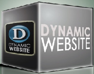 Web Designing Services