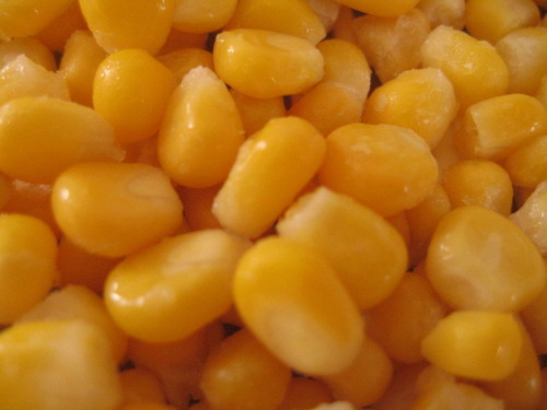 American Sweet Corn