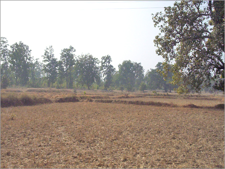 Comprehensive Hydrogeological Investigations