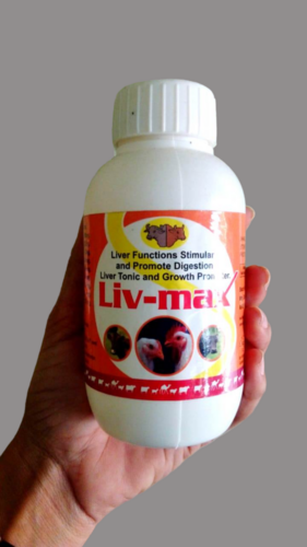 Veterinary Liver Function Stimulant Tonic Application: Water