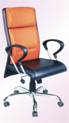 Back Chairs