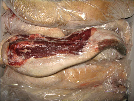 Buffalo Tongue