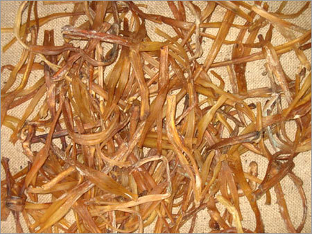 Dried &Tendon No.1