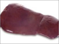 Liver
