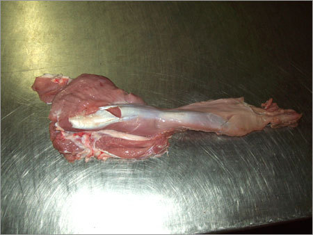 Veal Leg