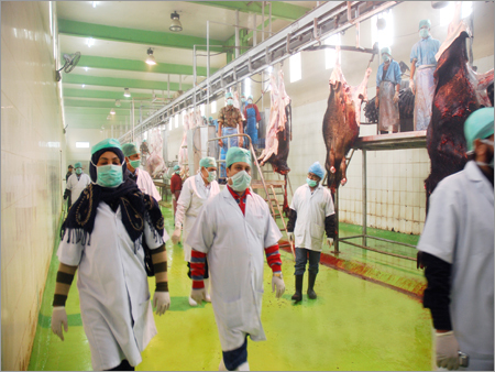 Indian Frozen Food Exporter