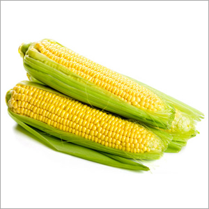 Corn