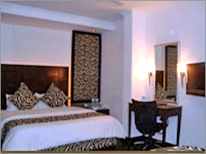 Hotel Dolphin Inn Deluxe Rooms