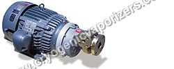 LNG Centrifugal Pumps