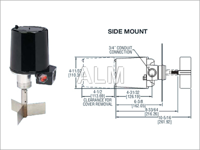 Paddle level Switch