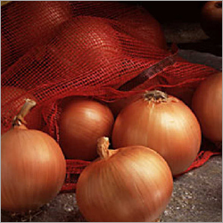 Onion
