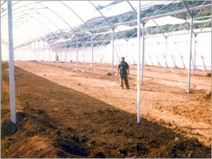 Construction Shed Net