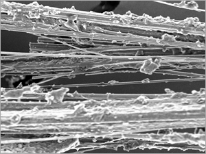 Asbestos Fibers