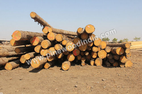 Ghana Teak Wood