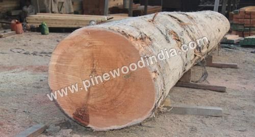 Red Meranti Log Wood