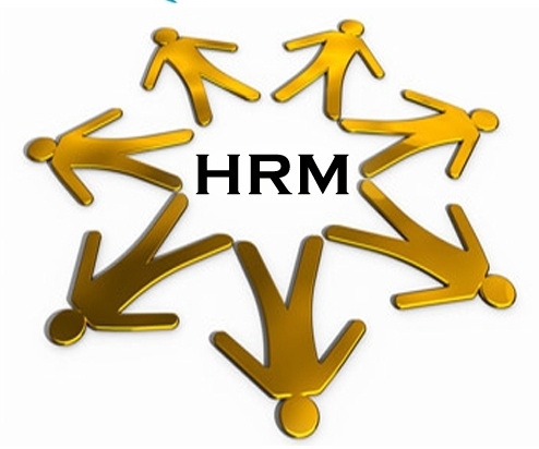 Human Resource Management Software