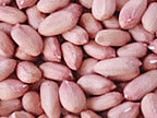 Java Peanuts
