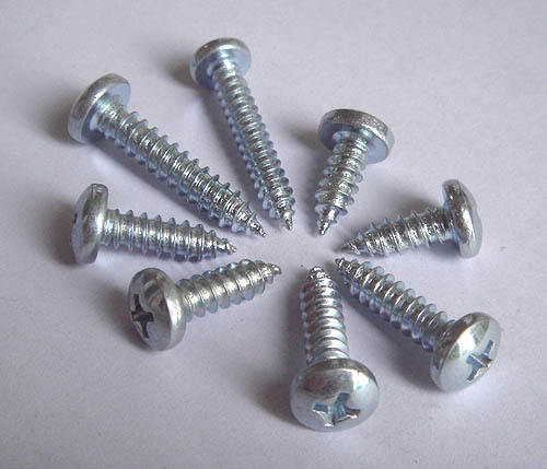 Self Tapping Screw