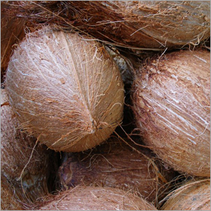 Coconuts
