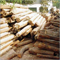 Raw Wood Stocks