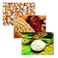 Maize Starch