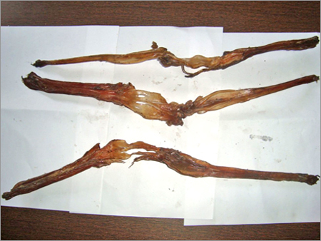 Tendon No.4