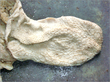 Honeycomb