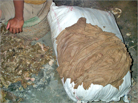 Beef Omasum 3