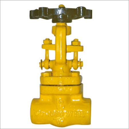 Forged Steel Valve
