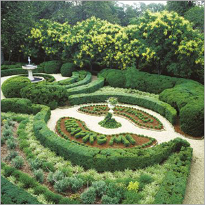 Terrace Garden