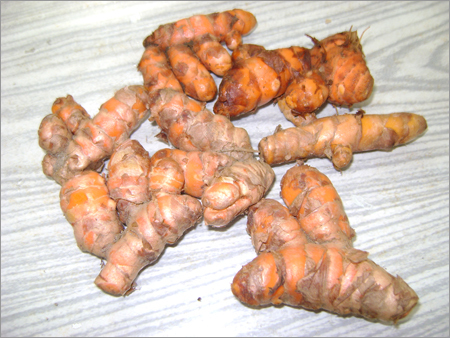 Turmeric Tuber