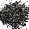 Niger Seeds