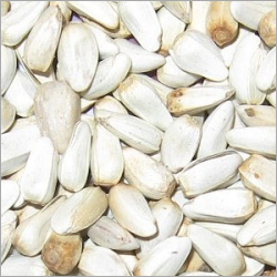 Sunflower Seeds
