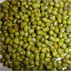 Green Gram