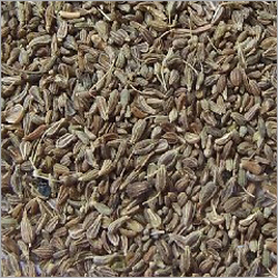 Aniseed