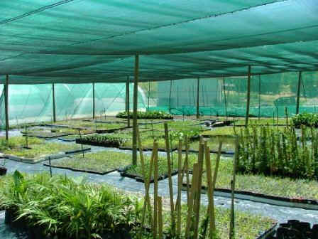 Nursery Shade Net Nursery Shade Net
