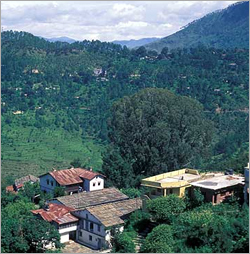 Almora