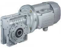 Grey Worm Reduction Geared Motor
