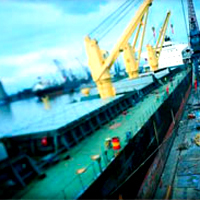 Polydacron Polyester(8 Strand)