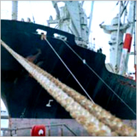 8 Strand Combination Dual Fiber