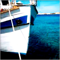 Maxi Flex PP (3,4 And 8 Strand)