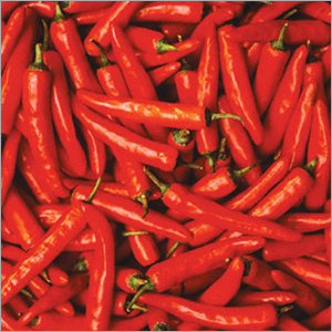 Red Chillies