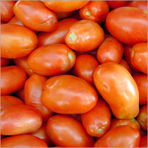 Tomato