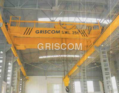 Electric Overhead Travelling Cranes