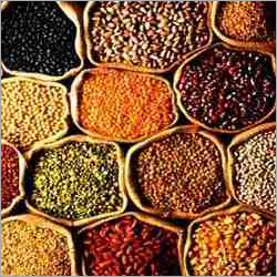 Grains & pulses