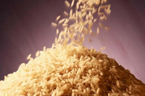 Organic Basmati Rice