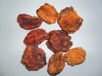 Bael Fruit